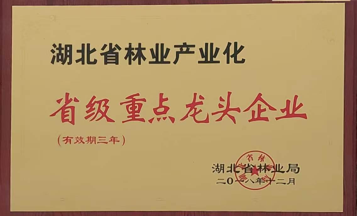 省林業(yè)產業(yè)化重點龍頭企業(yè)（2018.12）.jpg